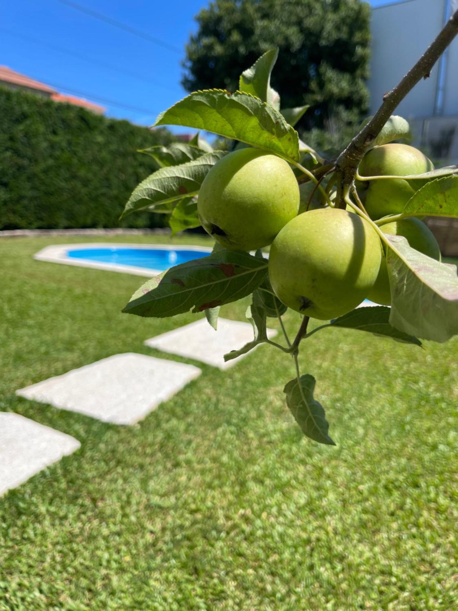 Вилла Casa Do Albano Виана-ду-Каштелу Экстерьер фото